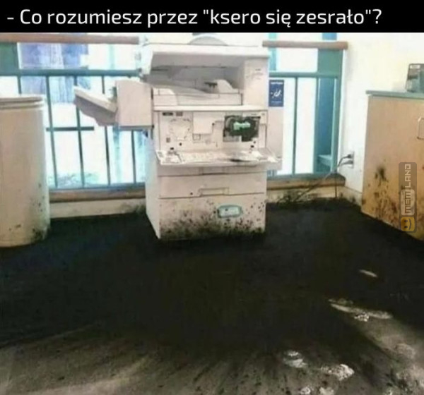 Śmieszny mem: 2196895 - MemLand