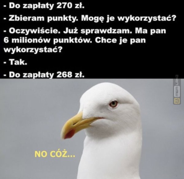 Śmieszny mem: 2201228 - MemLand