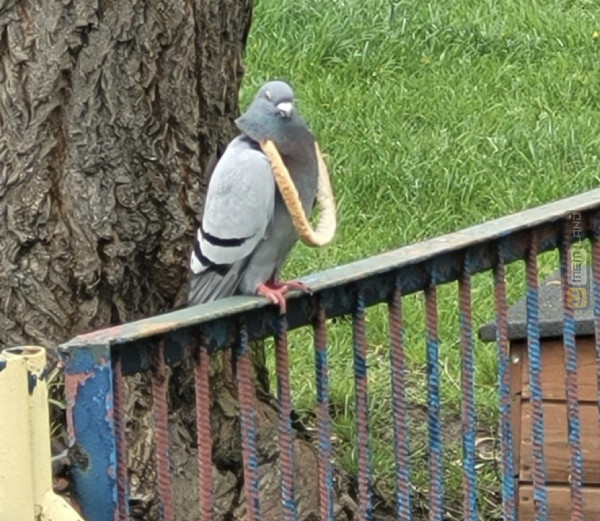 Śmieszny mem: 2205129 - MemLand