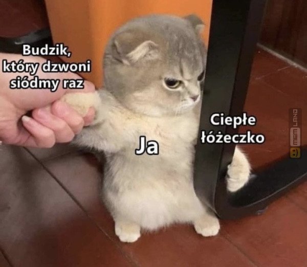 Śmieszny mem: 2209748 - MemLand