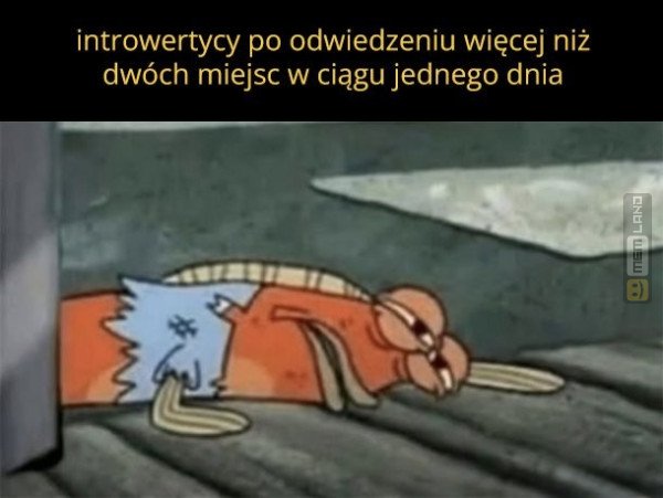 Śmieszny mem: 2210086 - MemLand