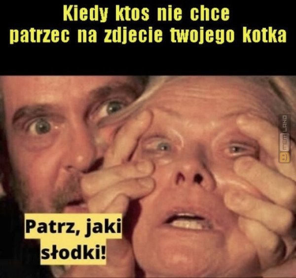 Śmieszny mem: 2212869 - MemLand