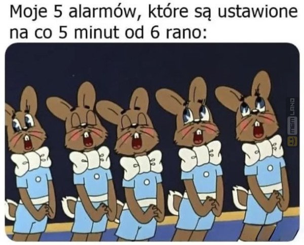 Śmieszny mem: 2213157 - MemLand