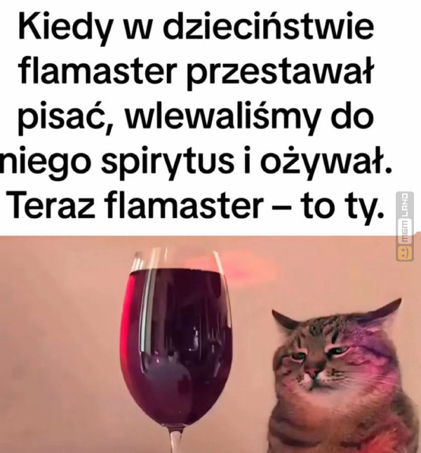 Śmieszny mem: 2214894 - MemLand