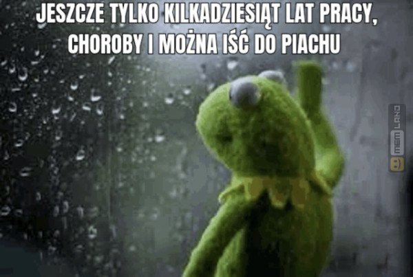Śmieszny mem: 2216587 - MemLand