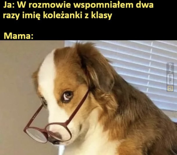 Śmieszny mem: 2228207 - MemLand