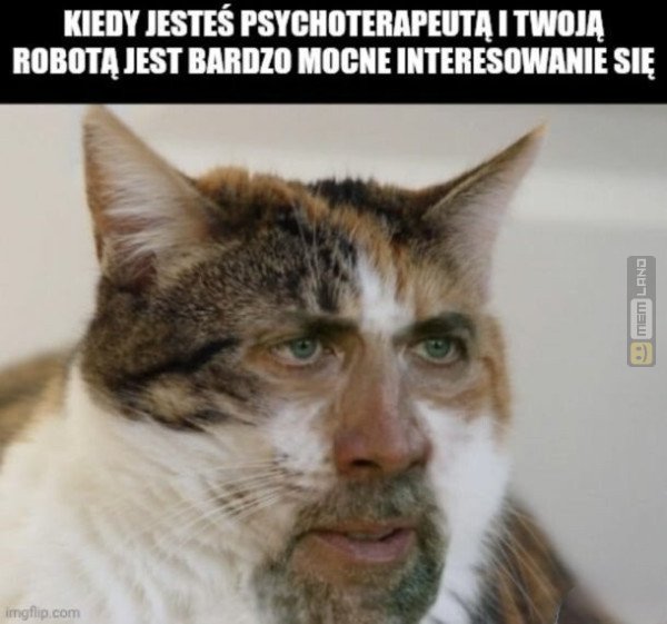 Śmieszny mem: 2230141 - MemLand
