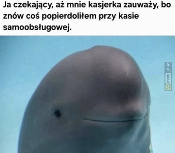 Śmieszny mem: 2230966 - MemLand