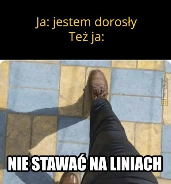 Śmieszny mem: 2233015 - MemLand