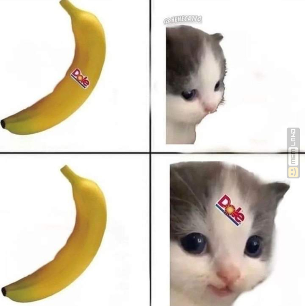 Śmieszny mem: 2237473 - MemLand