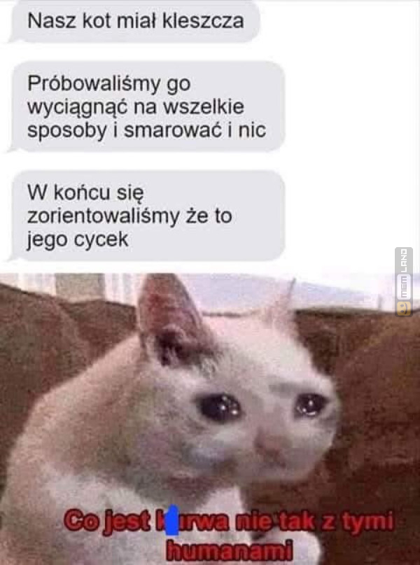 Śmieszny mem: 2239002 - MemLand