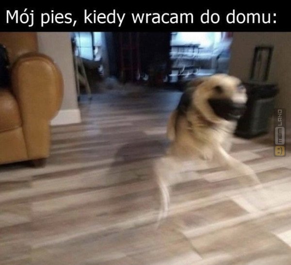 Śmieszny mem: 2239412 - MemLand