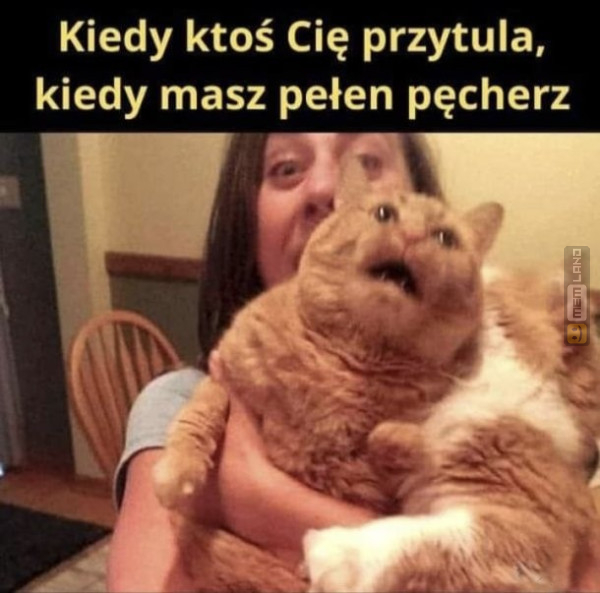 Śmieszny mem: 2242113 - MemLand