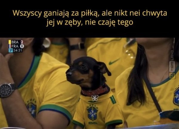 Śmieszny mem: 2243584 - MemLand