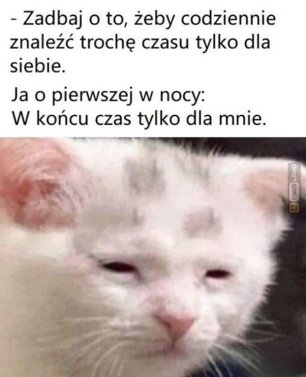 Śmieszny mem: 2247710 - MemLand