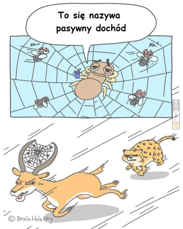 Śmieszny mem: 2249413 - MemLand