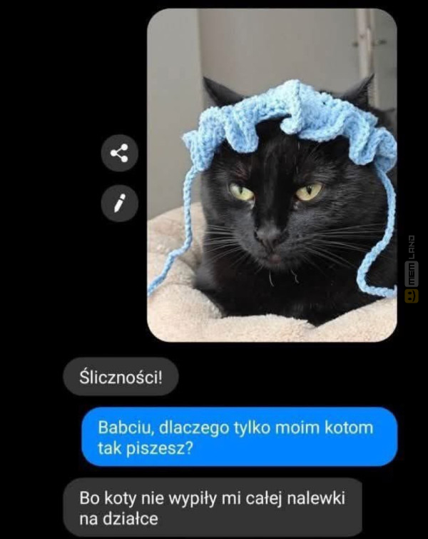 Śmieszny mem: 2251964 - MemLand