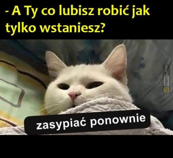 Śmieszny mem: 2253449 - MemLand