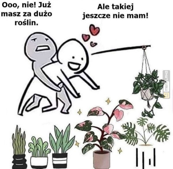 Śmieszny mem: 2255545 - MemLand