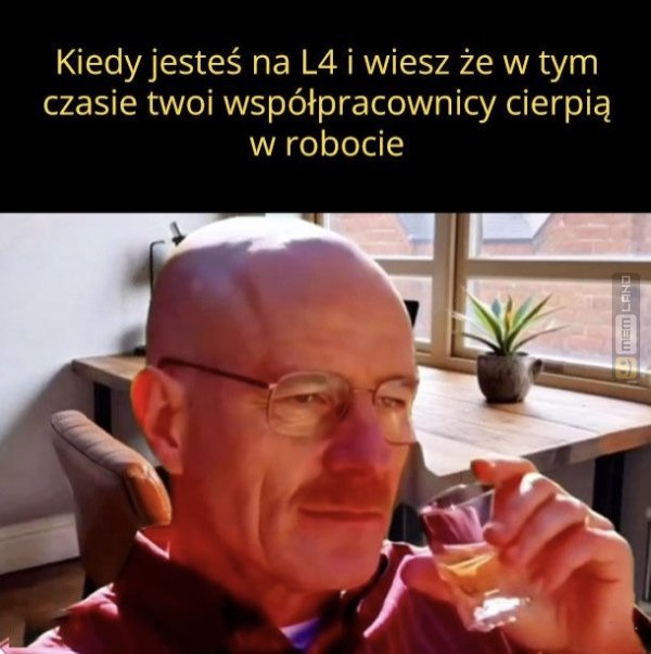 Śmieszny mem: 2256548 - MemLand