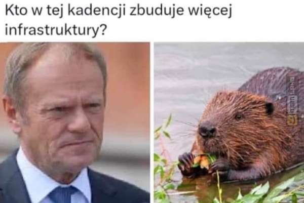 Śmieszny mem: 2260898 - MemLand