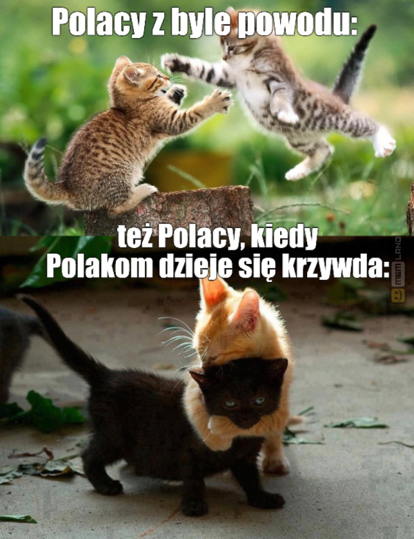 Śmieszny mem: 2264717 - MemLand