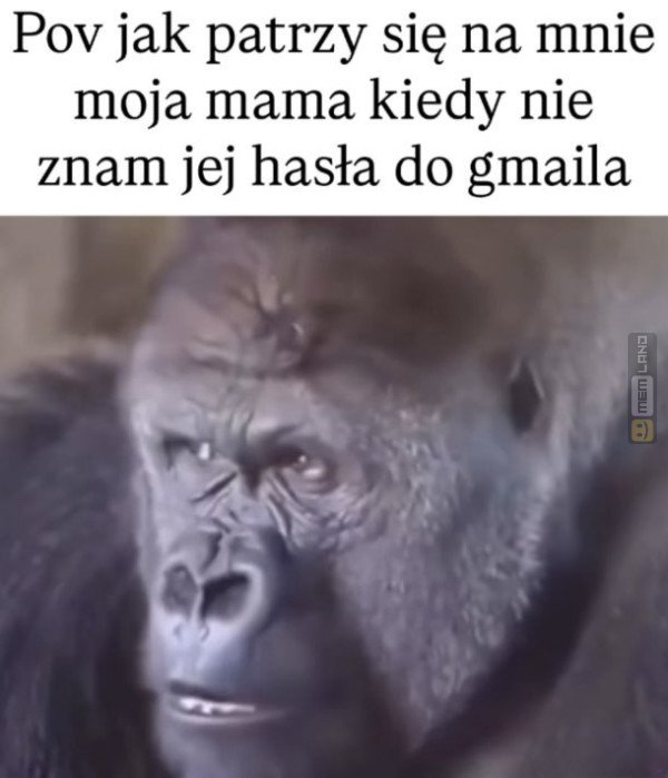 Śmieszny mem: 2278179 - MemLand