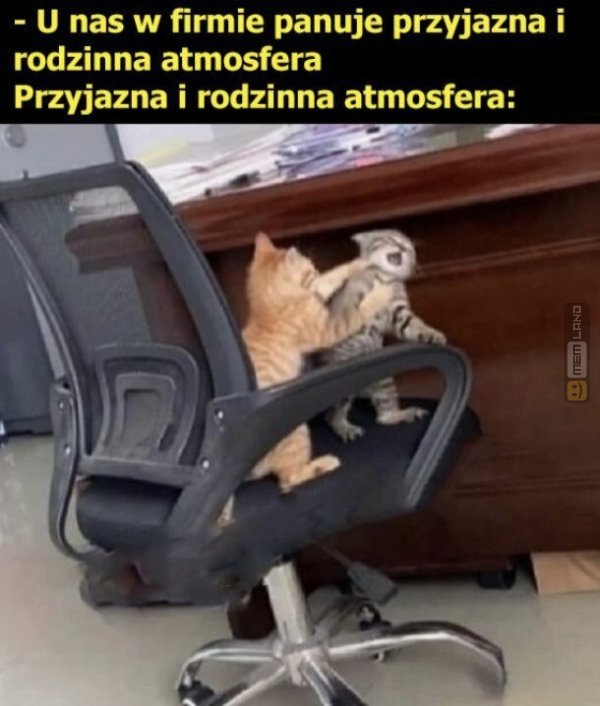 Śmieszny mem: 2279042 - MemLand