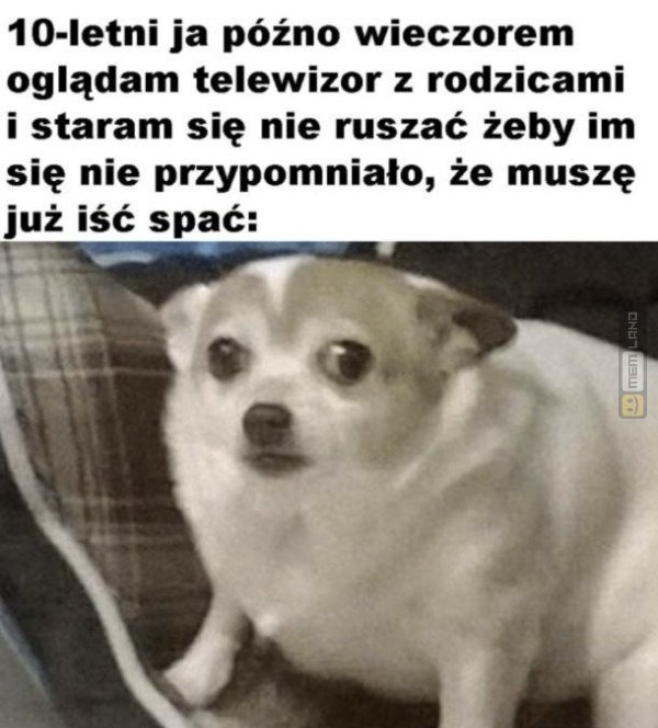 Śmieszny mem: 2281558 - MemLand