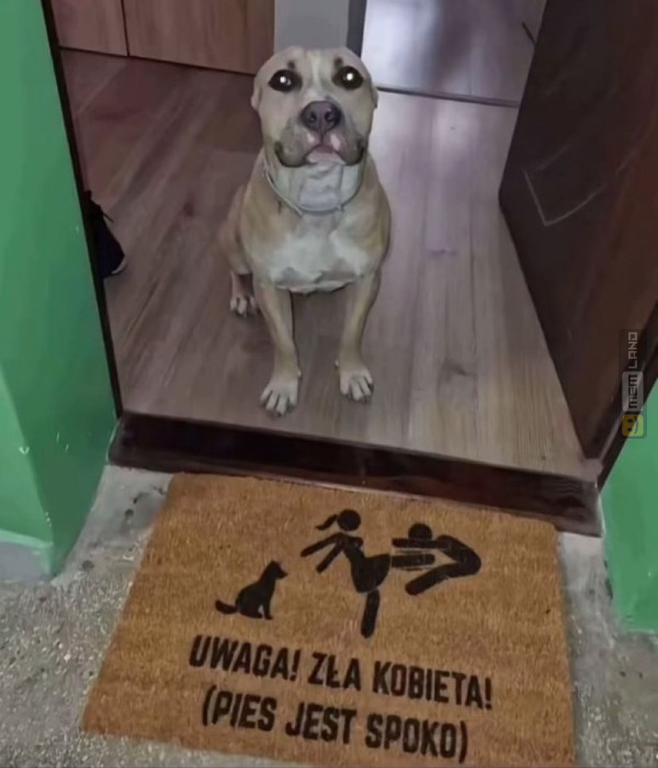 Śmieszny mem: 2285879 - MemLand