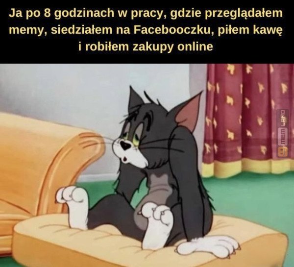 Śmieszny mem: 2294610 - MemLand