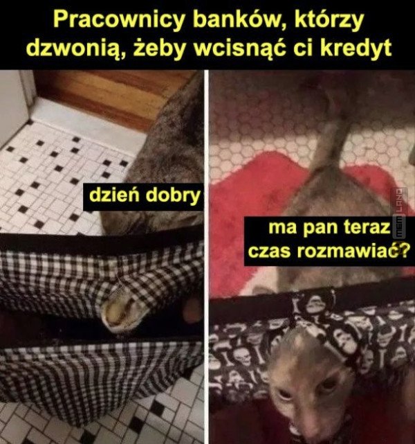 Śmieszny mem: 2300376 - MemLand