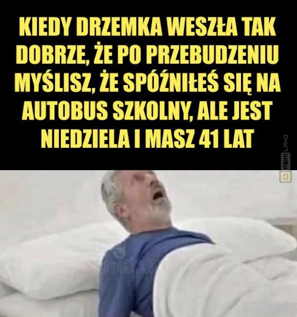 Śmieszny mem: 2300907 - MemLand
