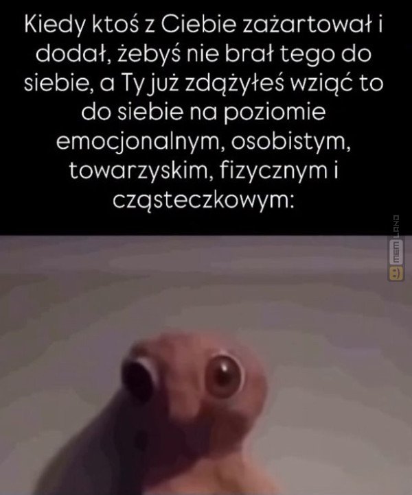 Śmieszny mem: 2302275 - MemLand