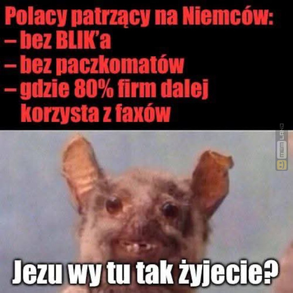 Śmieszny mem: 2304200 - MemLand