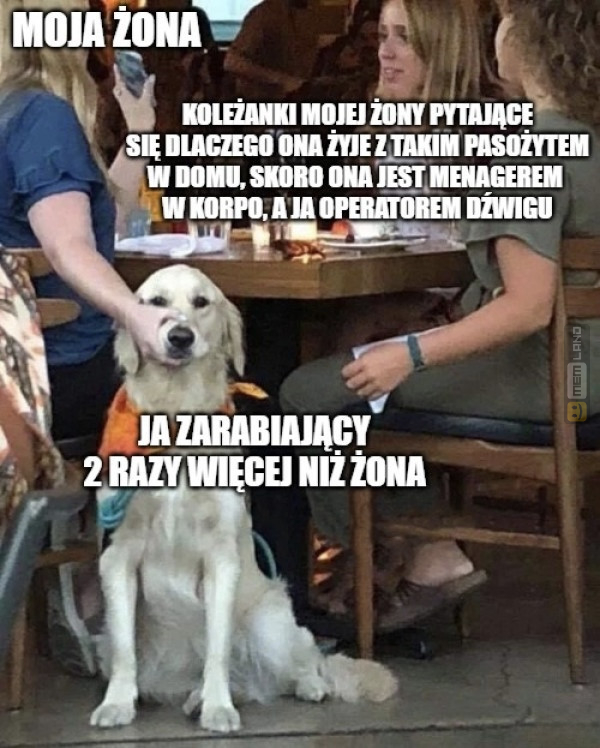 Śmieszny mem: 2307753 - MemLand