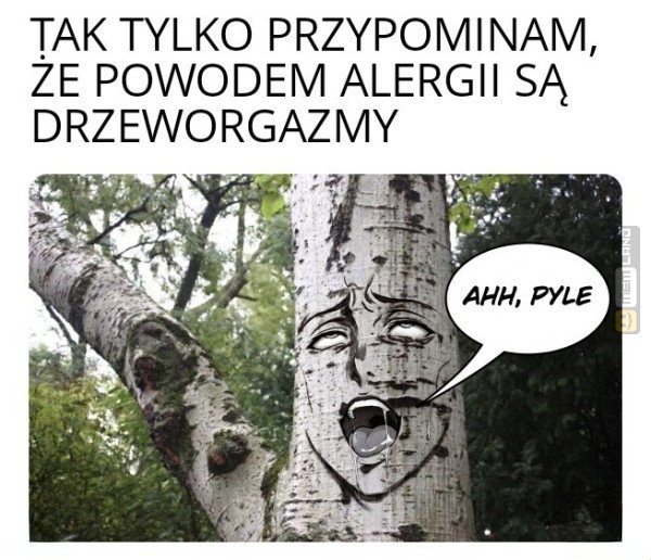 Śmieszny mem: 2309908 - MemLand