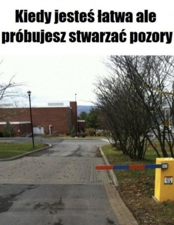 Śmieszny mem: 2311571 - MemLand