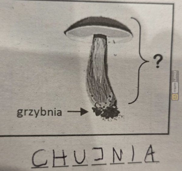 Śmieszny mem: 2314536 - MemLand