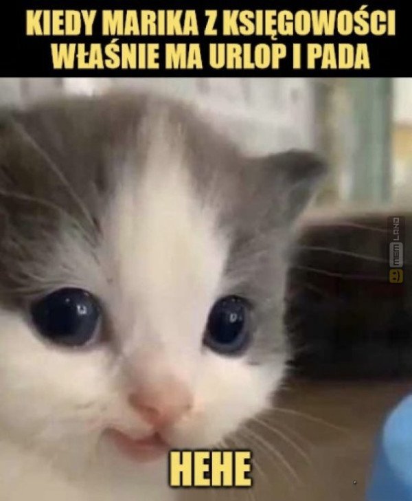 Śmieszny mem: 2326088 - MemLand