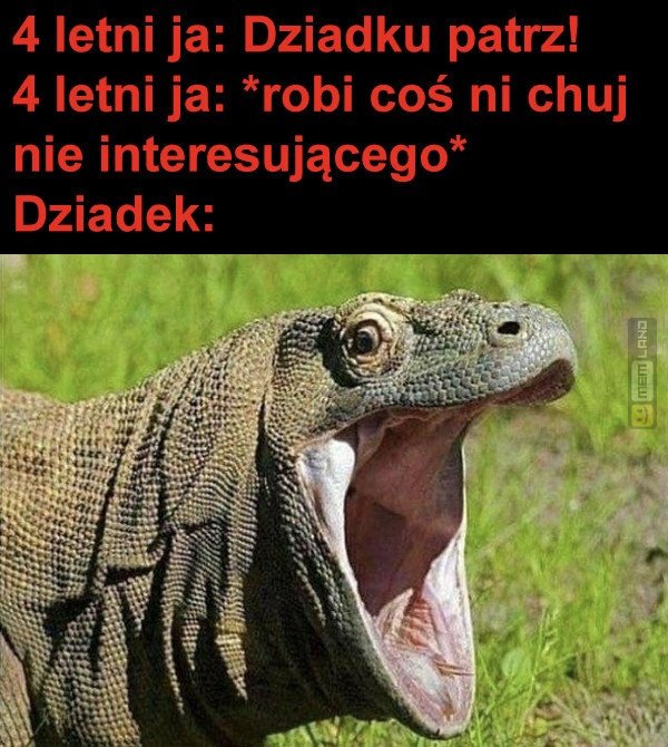 Śmieszny mem: 2326499 - MemLand