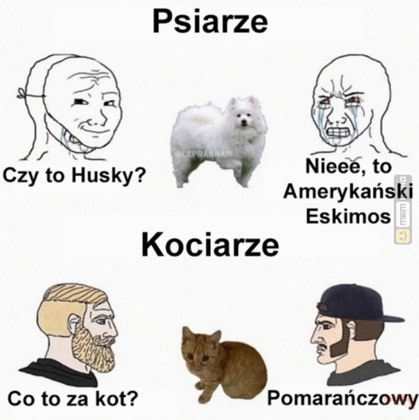 Śmieszny mem: 2329107 - MemLand