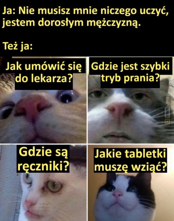 Śmieszny mem: 2336907 - MemLand