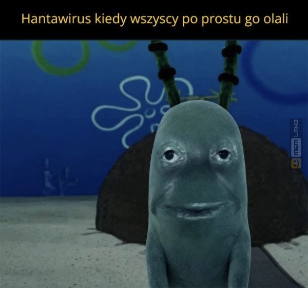 Śmieszny mem: 2342296 - MemLand