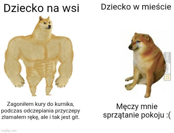 Śmieszny mem: 2350686 - MemLand