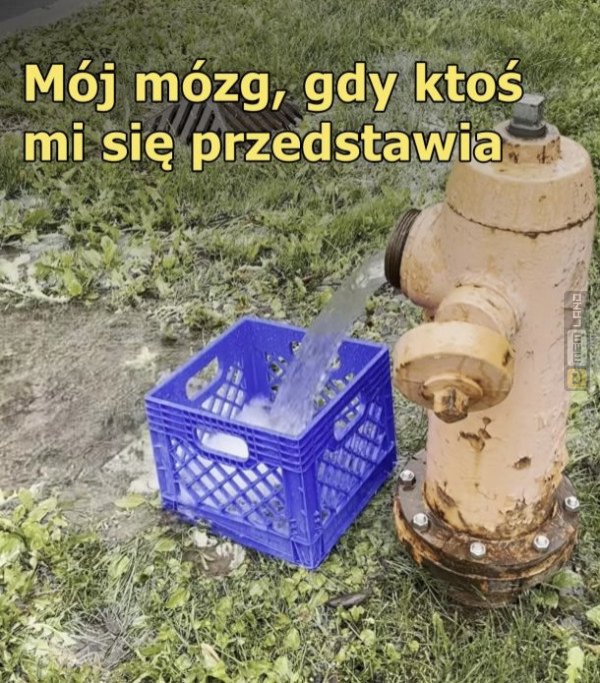 Śmieszny mem: 2363330 - MemLand