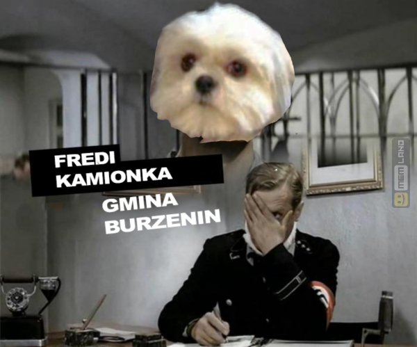 Śmieszny mem: 2368409 - MemLand