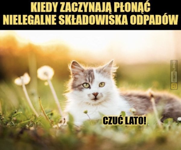 Śmieszny mem: 2370192 - MemLand