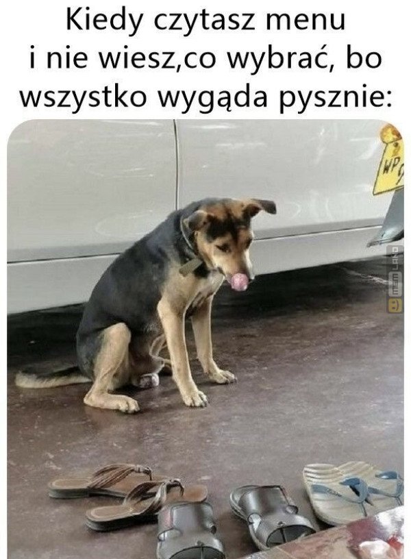 Śmieszny mem: 2373920 - MemLand