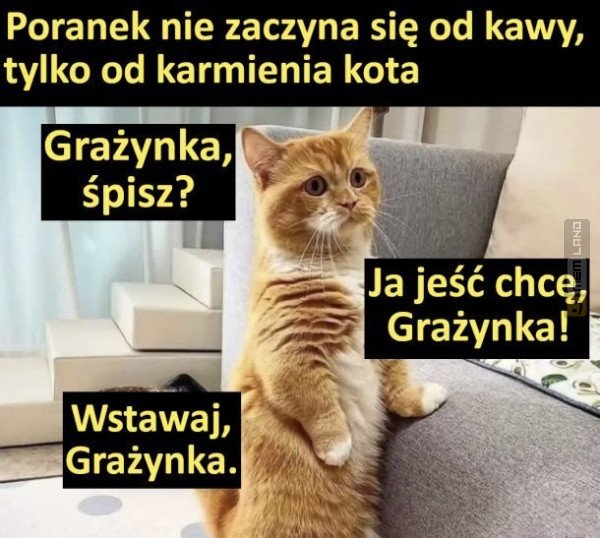Śmieszny mem: 2377061 - MemLand